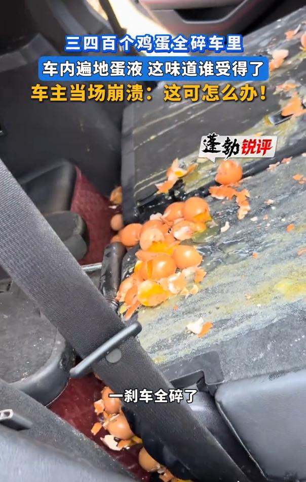 “天塌了！”浙江杭州，男子开车时在车上放了三四百个鸡蛋，万万没想到，行驶期间突然