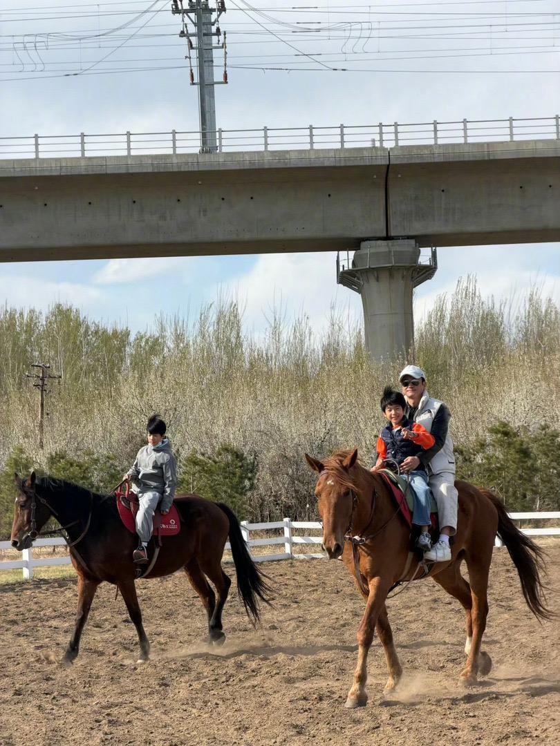 吴京：老婆，倪大姐这话说的，我怎么听着像我被发配边疆了呢？什么叫“在家老实待着”