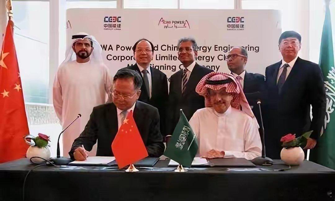 对华合约全部撕毁！中国又一伙伴背后捅刀子，骗走了20亿倒向美国2025年11月，