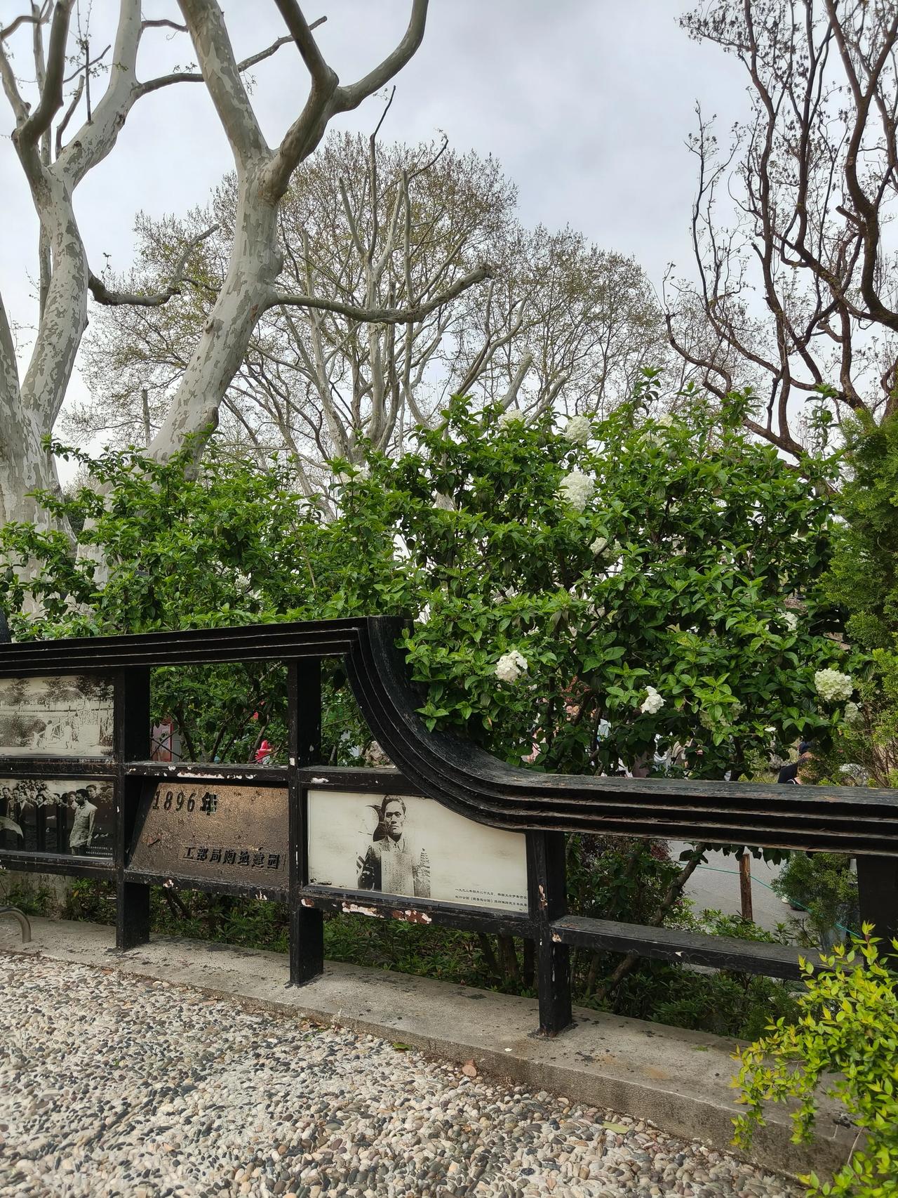 每一朵樱花都像是一个小小的微笑，点缀着春天的画卷。樱花盛开时，仿佛整个世界都