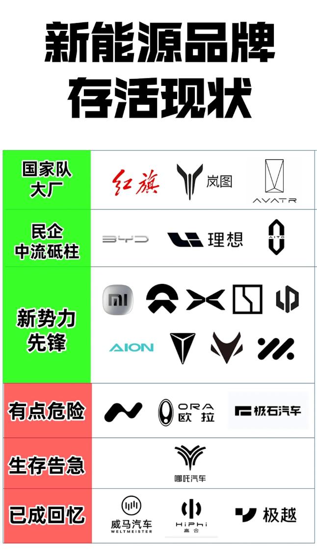 10万纯电新能源除了看品牌一定要看销量朋友发我一张“新能源存活现状”，问我：“