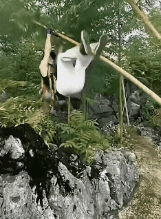 爸妈小时候经常对我们说，不要千翻