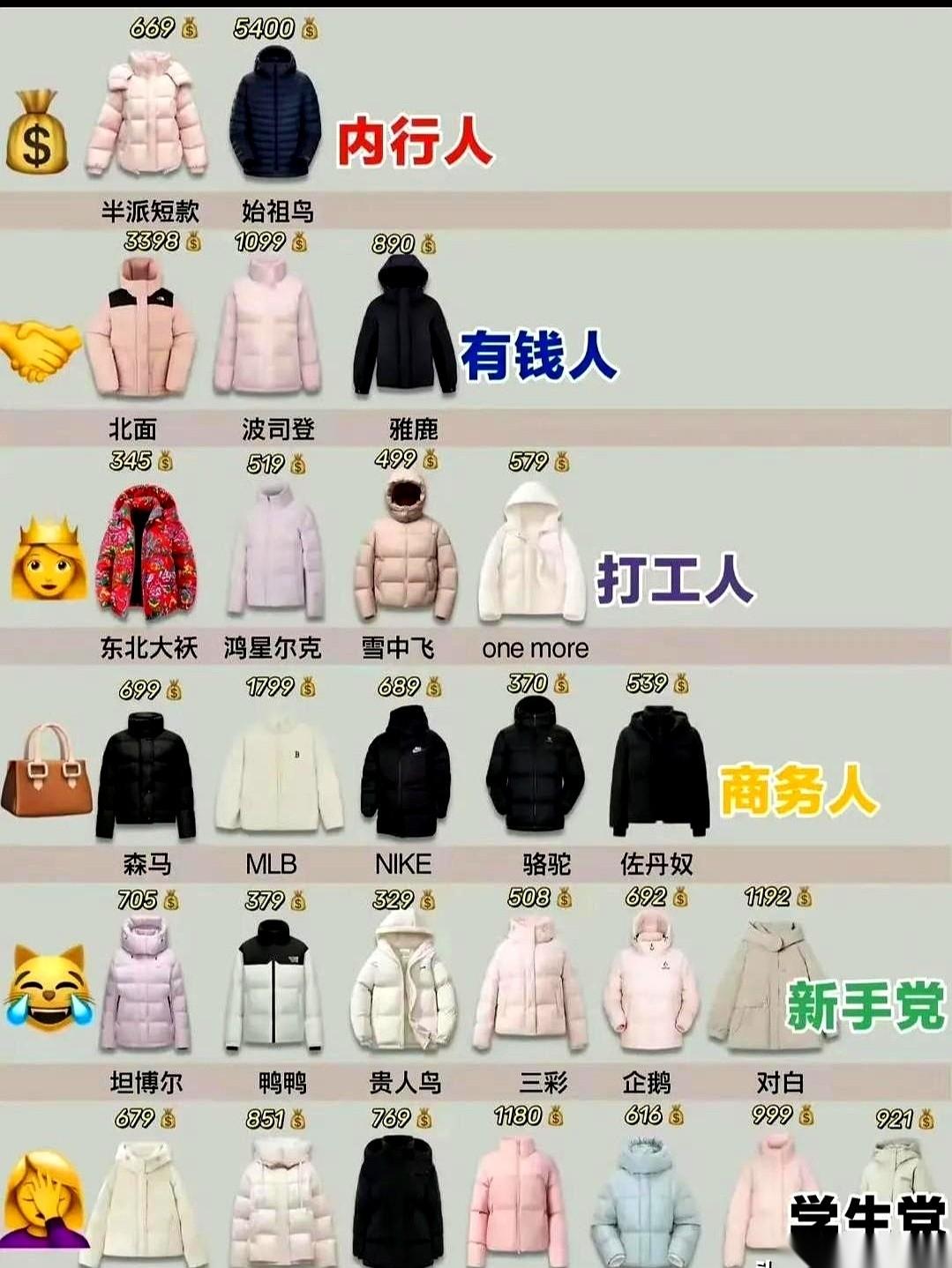 刷到一个帖子，说羽绒服分三六九等。什么打工人穿波司登，有钱人穿Moncler，