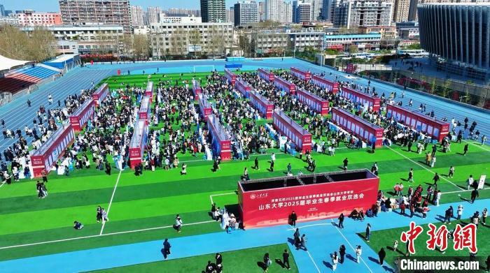 AI助手“上岗”! 山东高校毕业生渐别“撒网式”求职