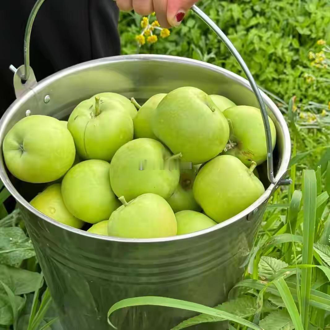摩羯座的人非常务实，他们认为行动远比语言更有力量。所以在感情中，摩羯座往往表现得