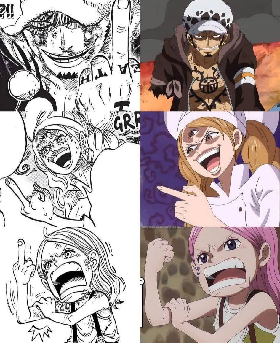 海贼王海贼王笑死我了，动画还是太柔和了哈哈哈哈