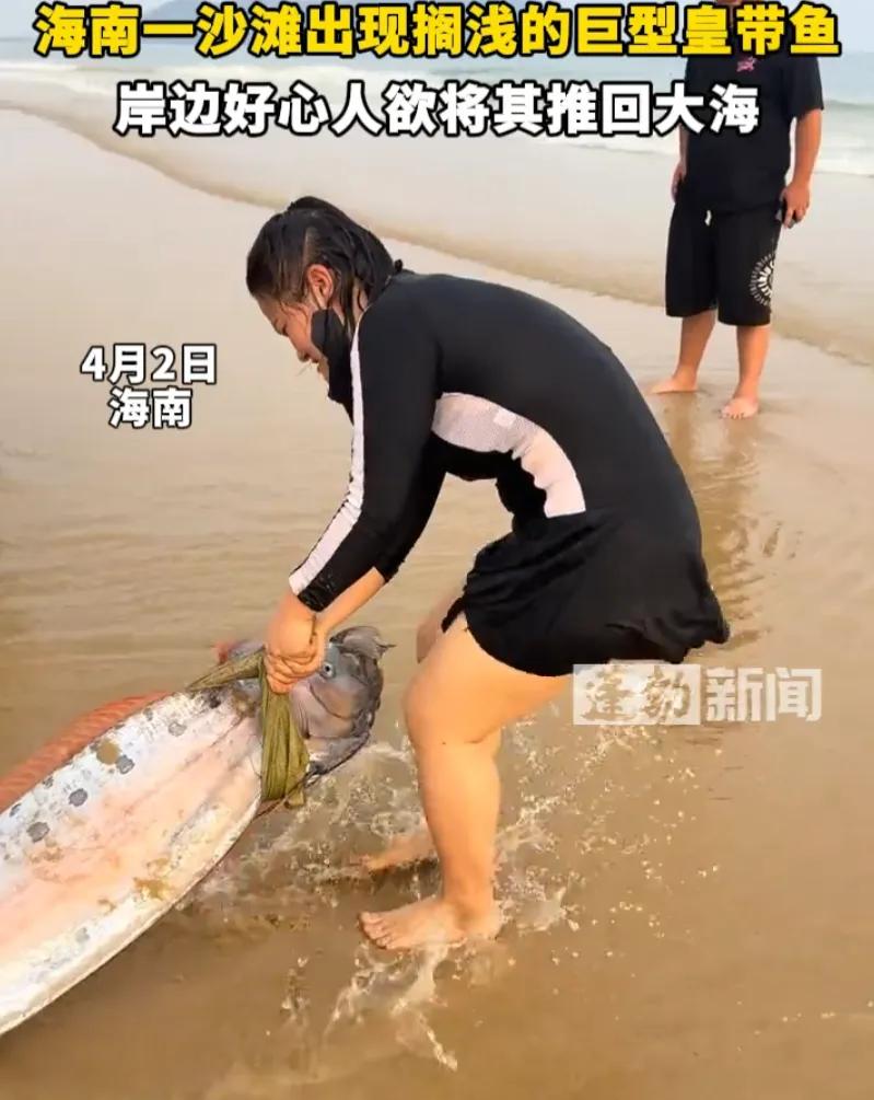吓懵了！海南某沙滩上，一女子正在散步，忽然看见远处横卧着一条银光闪闪的庞然大物，