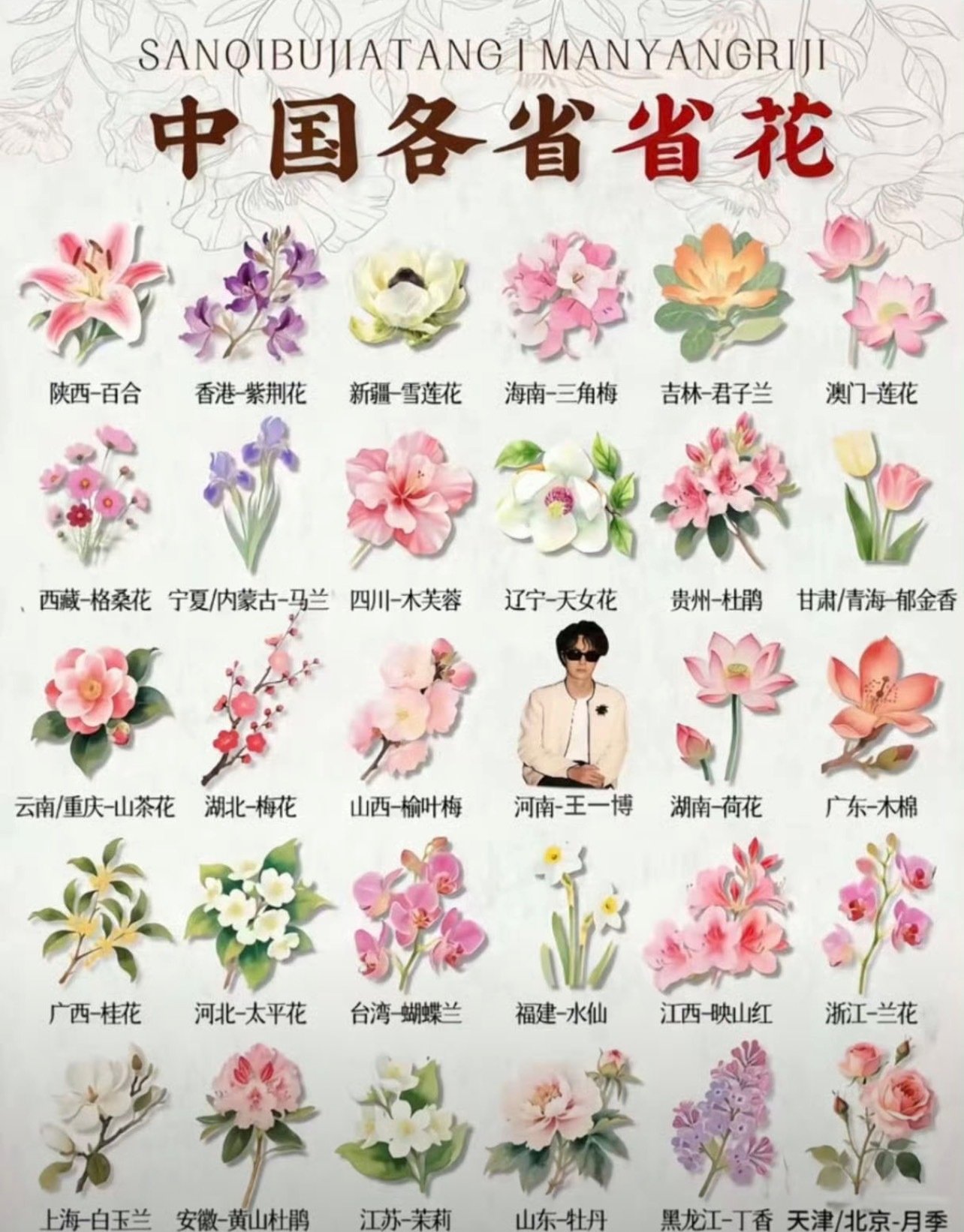 哈哈哈网友太有才了，中国各省省花河南洛阳白牡丹