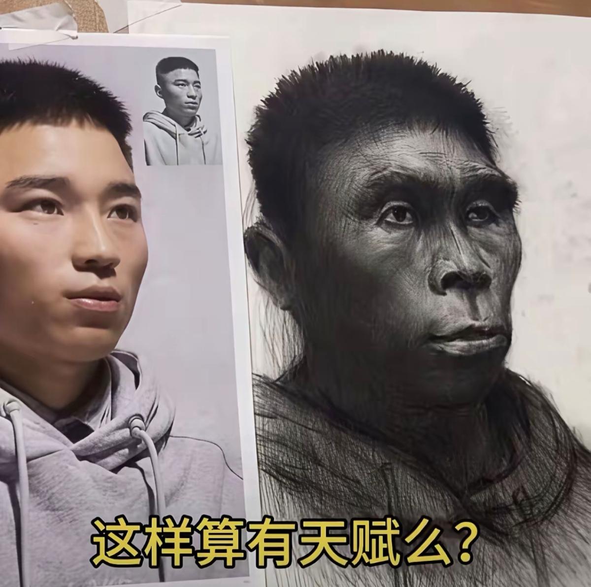 天赋有那么一点，画出了类人猿的感觉。