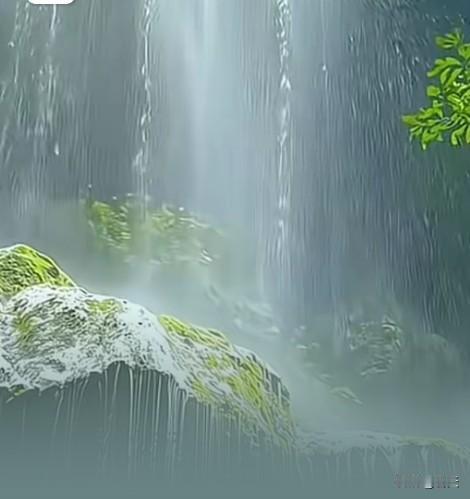 聪明者，善“躲”真正聪明的人，从不是事事争抢、锋芒毕露，而是懂得“躲”的智