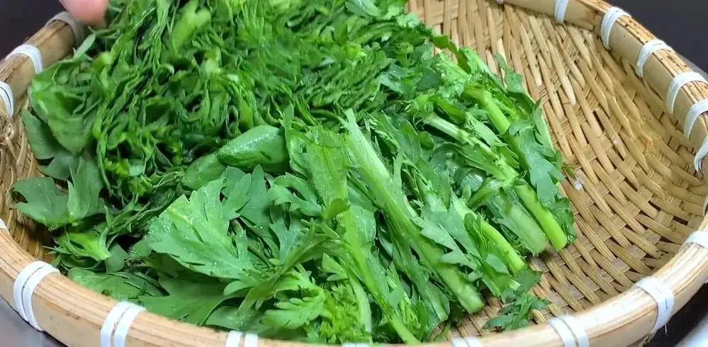 春肝“求救”信号出现！这5道家常芽菜，把熬夜、外卖、坏情绪一键清零春天一到