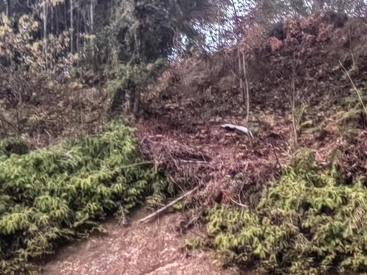 爬山的另类快乐谁懂啊？怪不得那么多人喜欢相约爬山！宝子们，你们爬山就是只是爬山