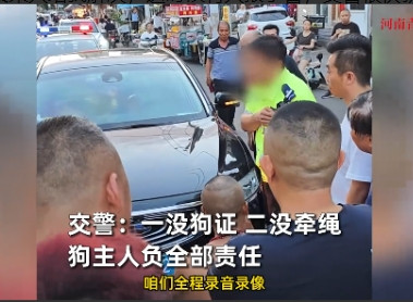 “这下长记性了！”2025年7月，河北，一男子遛狗却不栓狗绳，狗狗不幸被车撞死，