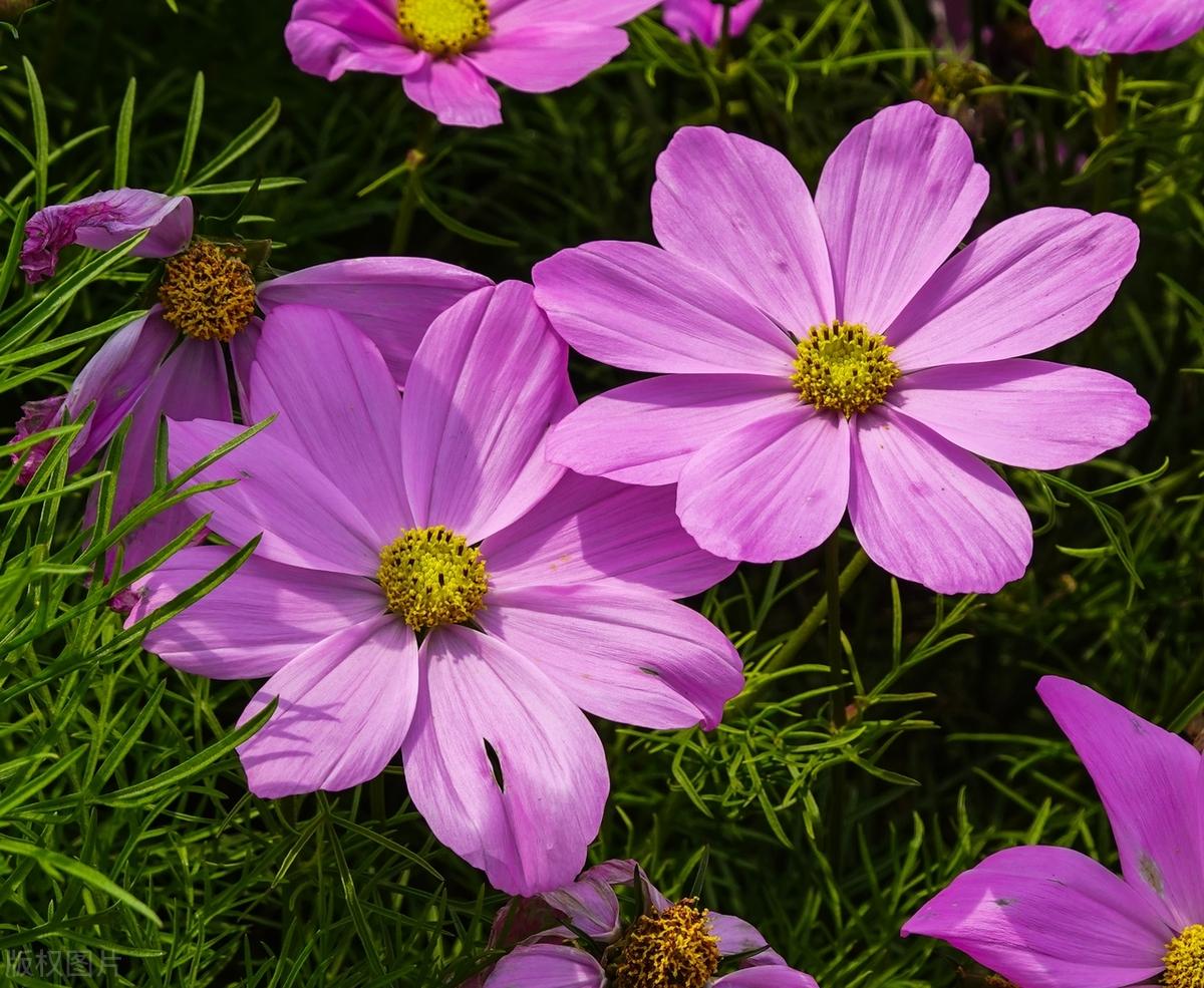 没有人可以赢得世界，我们真正要做的，就是牢牢地抓住今天，让今天的自己胜过昨天的