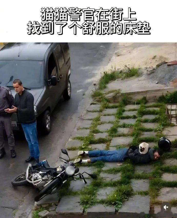 当场逮捕！宠物卖萌中心​​​