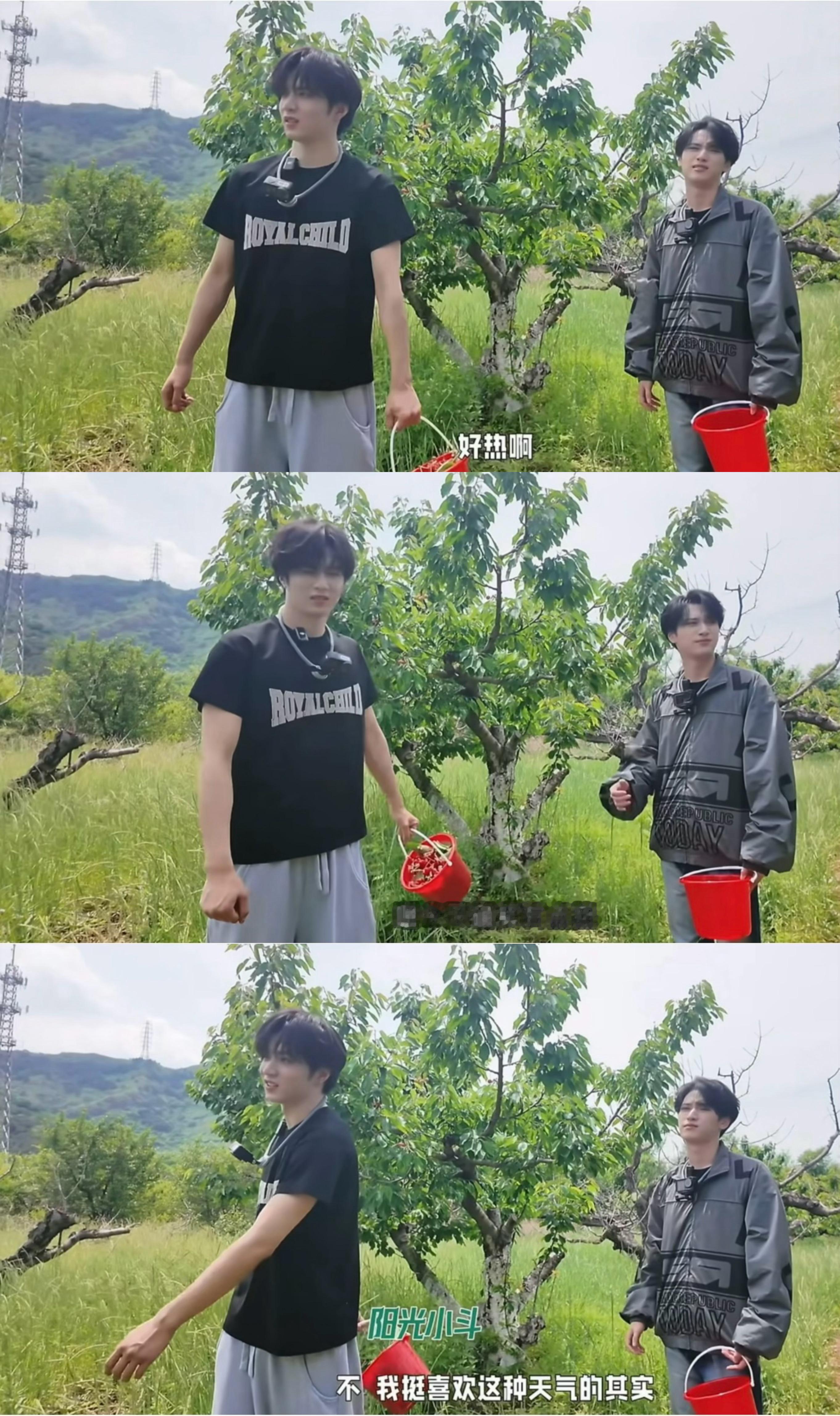 阳光狗儿的快乐童年
