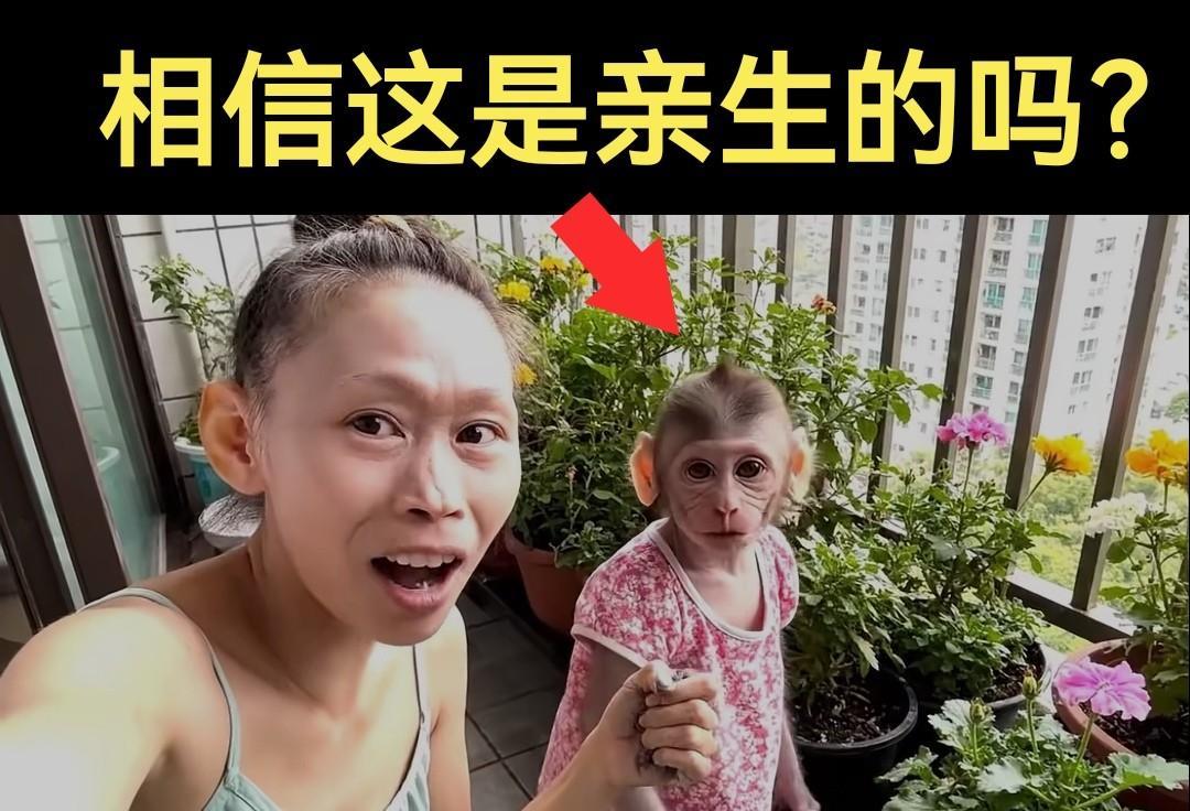 网友都说这猴子是亲生的，你信吗？[捂脸哭][捂脸哭][捂脸哭]
