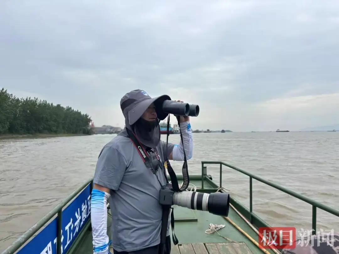 湖北2万多只鸭子集体“出逃”已3天，疑似已漂流到约360公里的安徽池州贵池区！