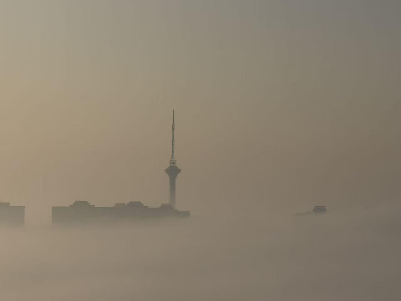 这应该就是传说中的“草船借箭”吧！