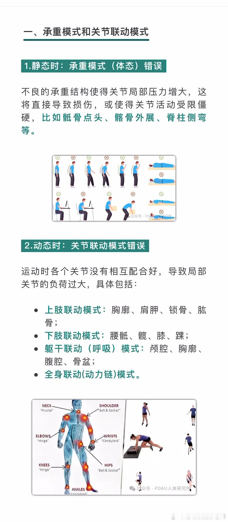 久坐腰痛的原因运动康复里经常说的【承重模式】和【关节联动】分别是什么意思？它们
