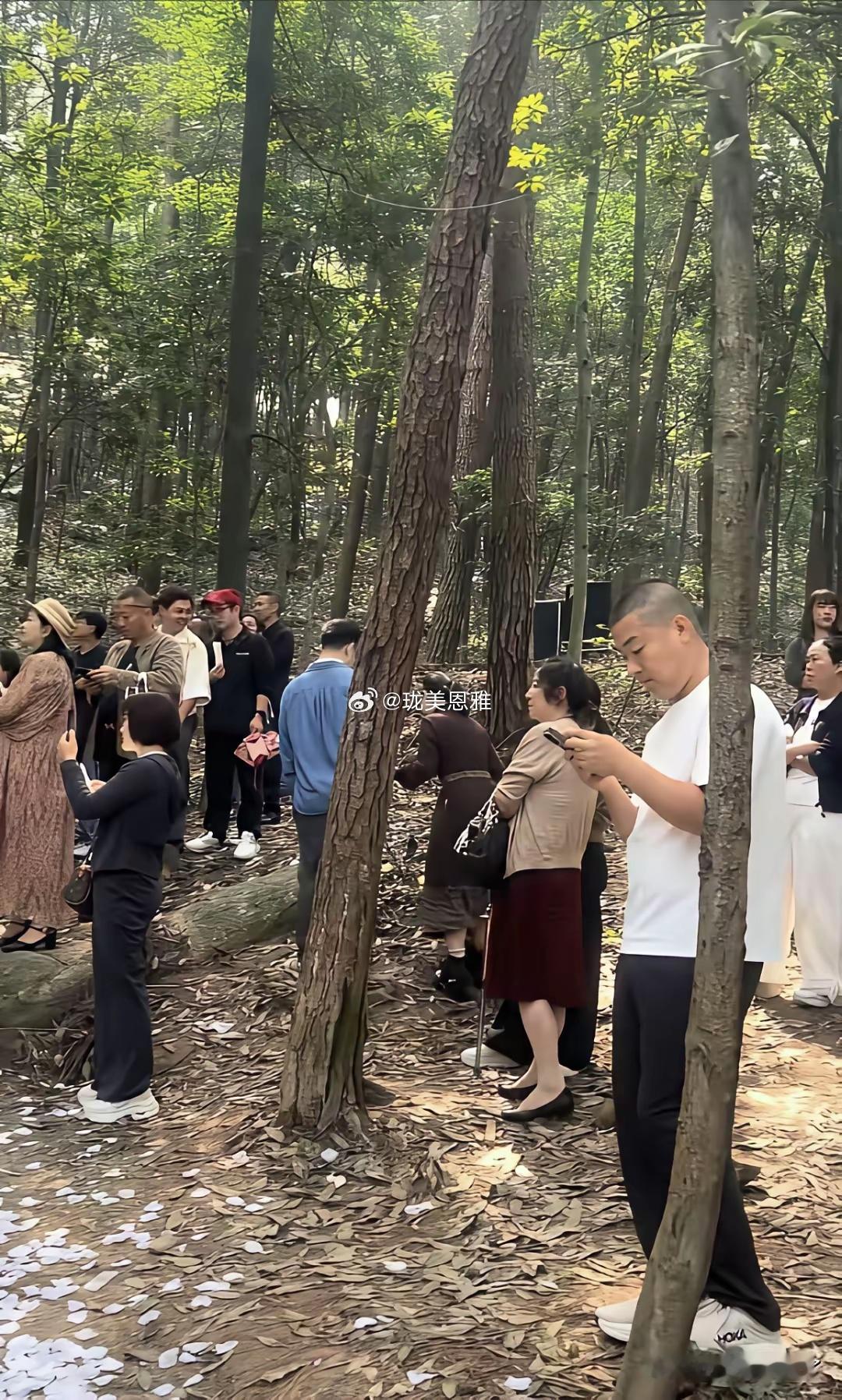 成都网友，心心念念的森林婚礼​​​