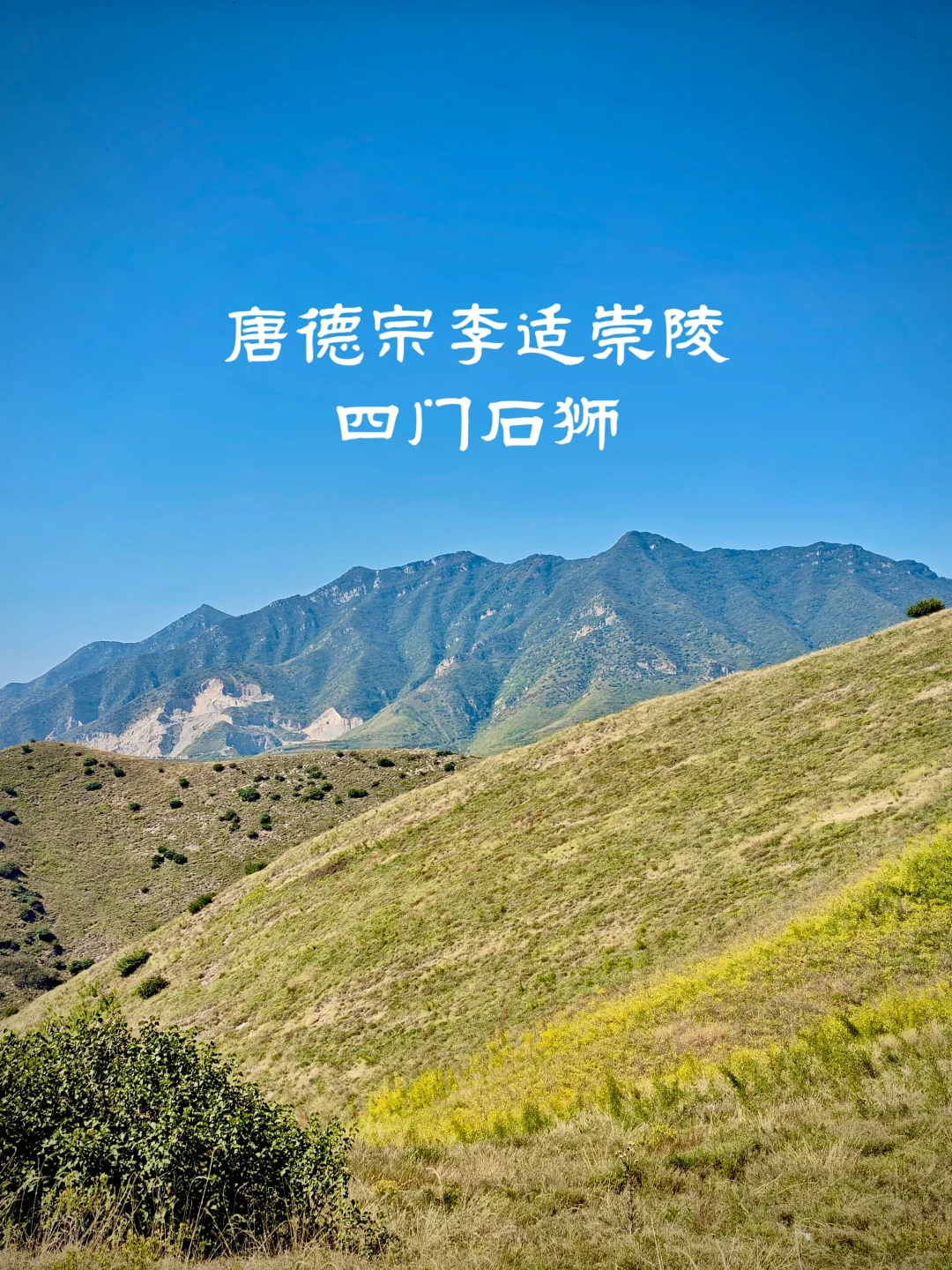 唐德宗李适崇陵四门石狮