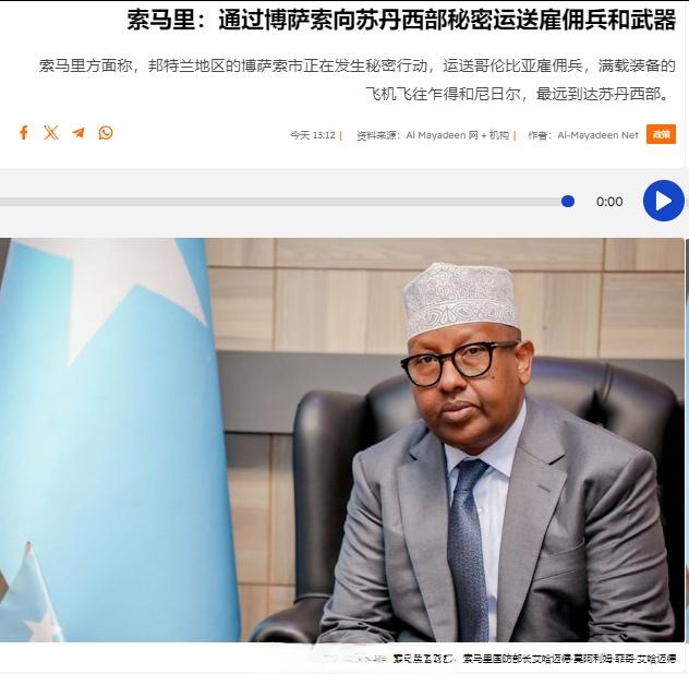索马里国防部长艾哈迈德·穆阿利姆·菲基·艾哈迈德证实，有人（阿联酋）正在通过邦特