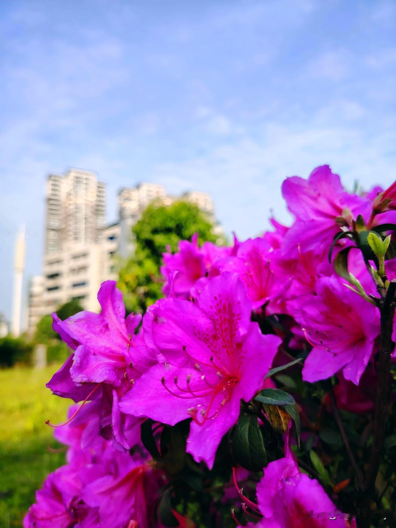 随手拍一张你所在城市的蓝天景色