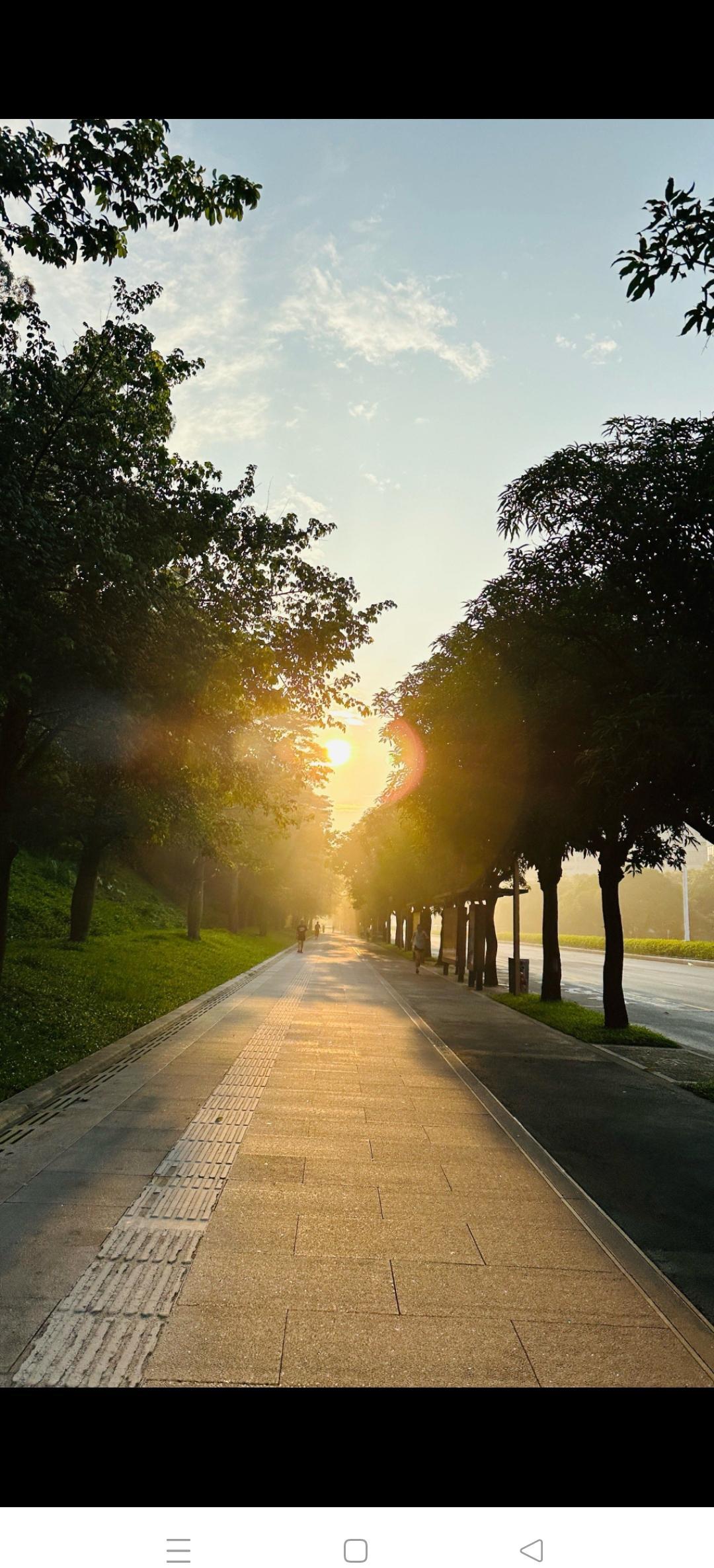 风一吹，叶子满地跑，人却往外头冲。不为减肥，不为打卡，就图个清醒。脚踩枯叶咔