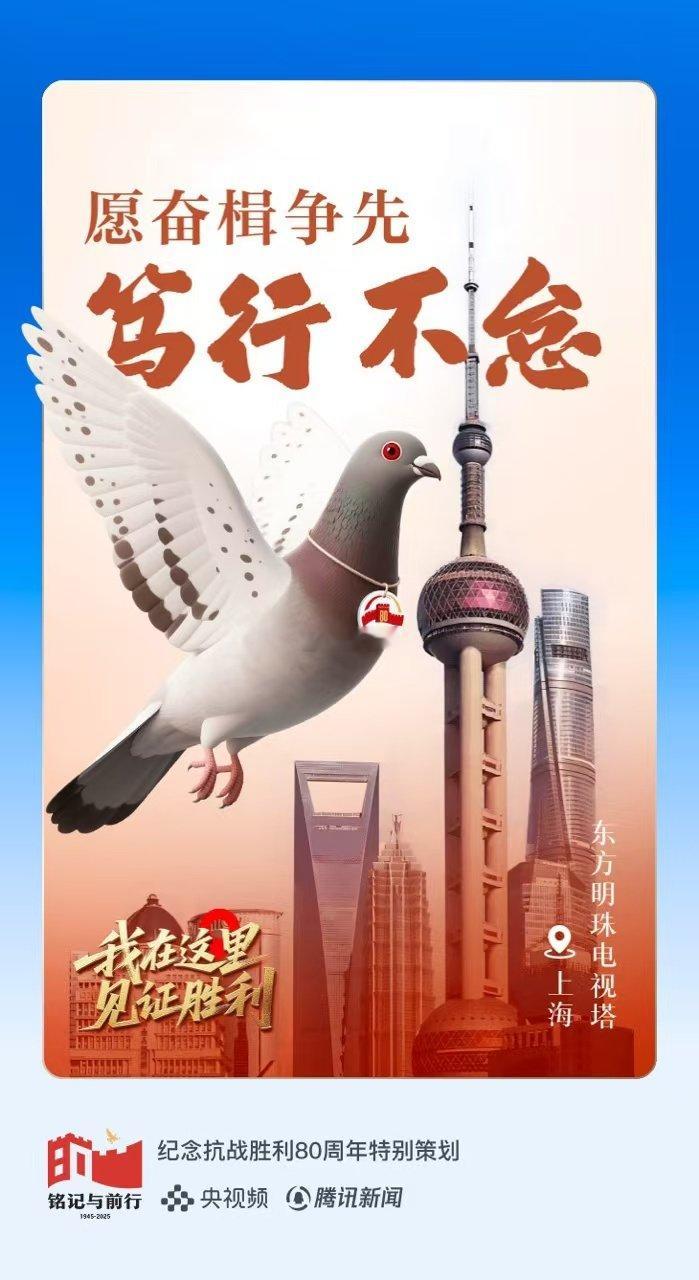 放飞和平鸽向英烈致敬放飞和平鸽领取专属证书历史的血火警示未来，精神的光热凝聚力