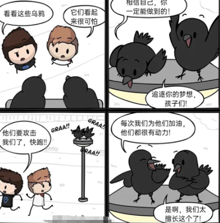 我们太擅长这个了