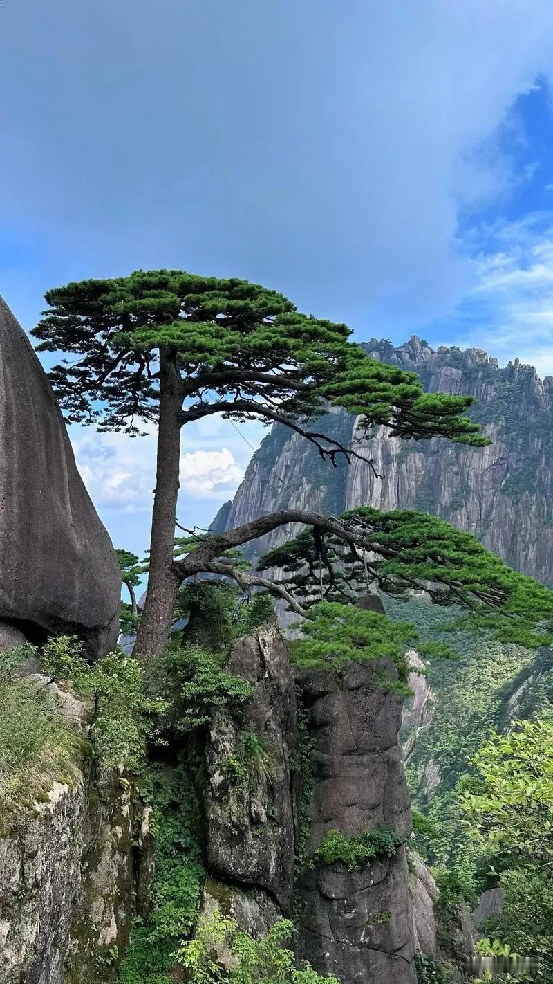 前后去了四次黄山。每个季节都去过。每去一次，黄山带给我的震撼都不一样。叹为观止。