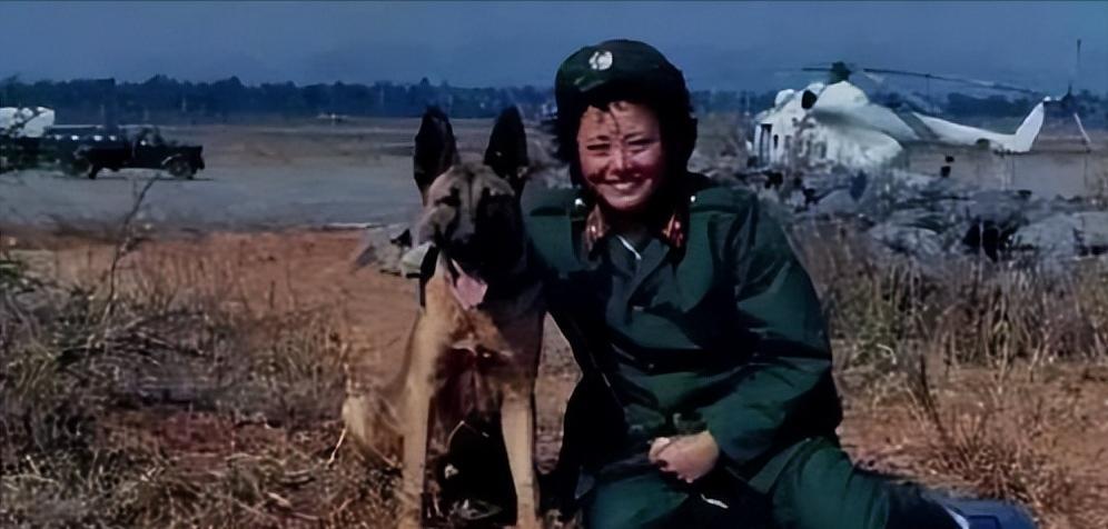 1978年，内蒙古一女军医遇到一匹冲她哀嚎的狼，她扔了一个肉罐头过去，但狼不吃，
