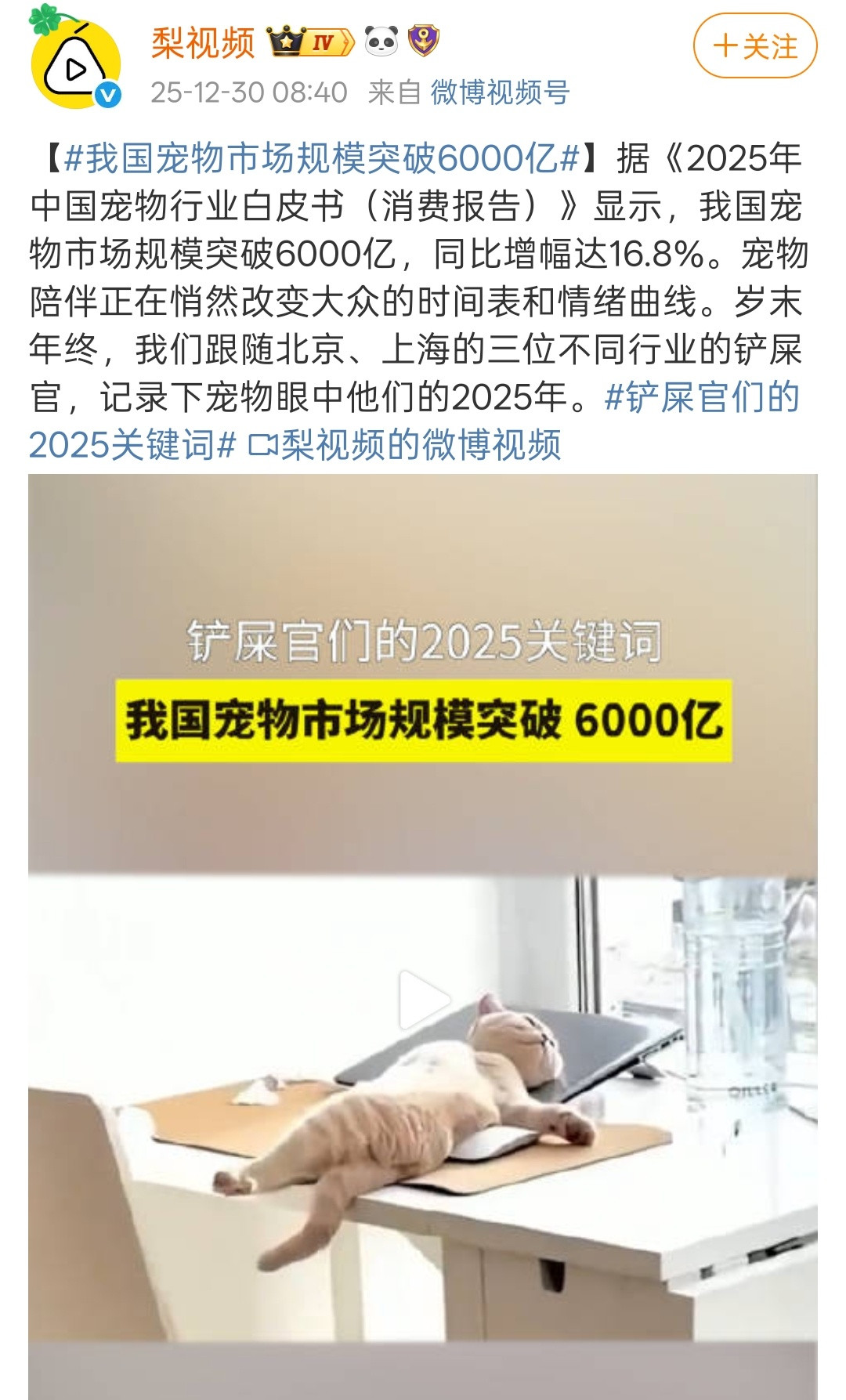 现在的日子忙碌，压力还不小，但家里有个毛茸茸的小生命等着你，每次回家真的会被治愈