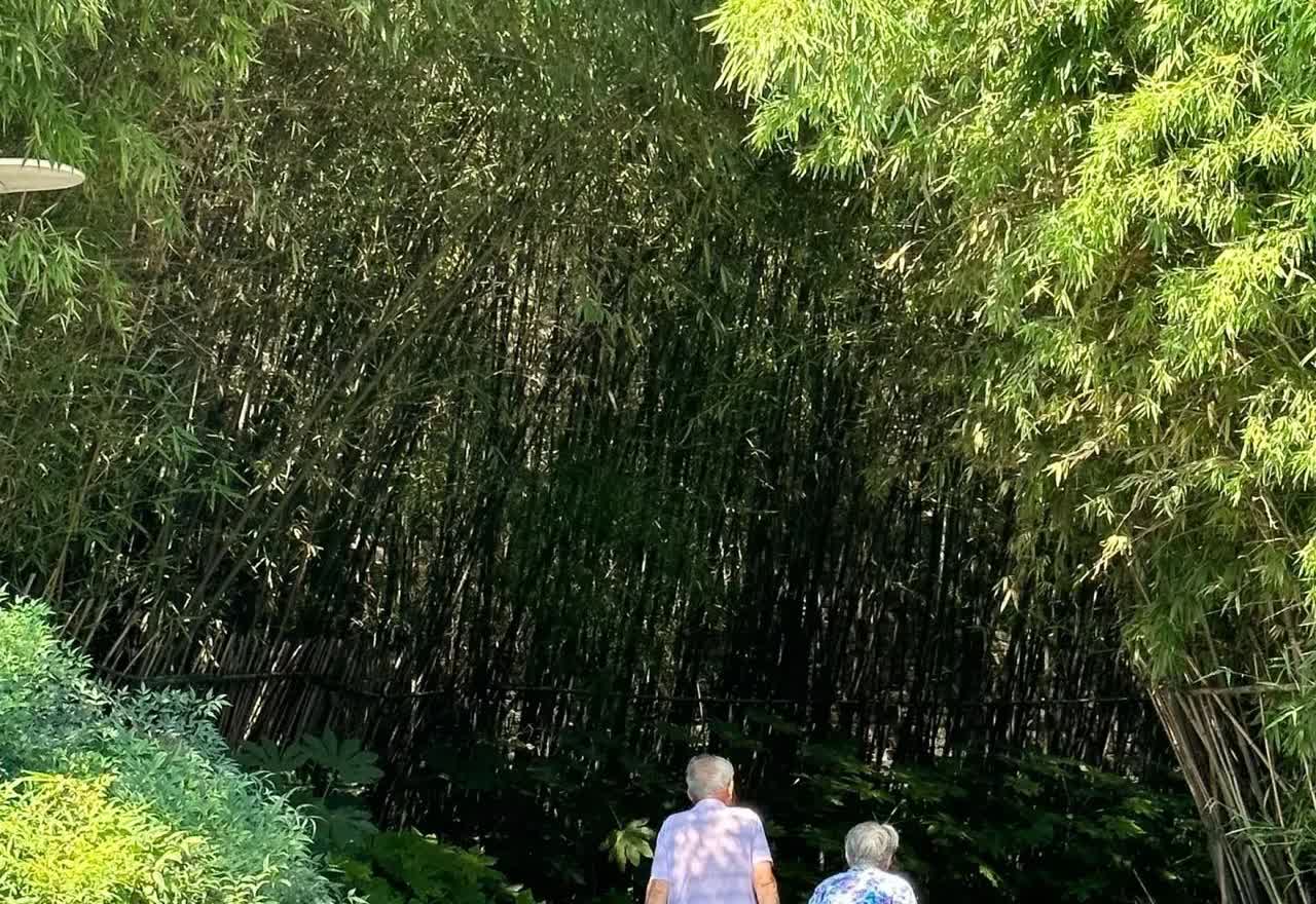 婚姻找对人，将心比心，二婚甚至是三婚都有可能幸福的。身边有这样一对老人：