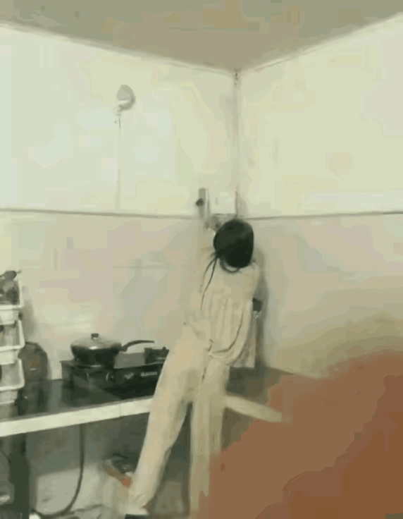 老鼠：狗拿耗子多管闲事，母老虎拿耗子，当场就嗝屁[捂脸哭]