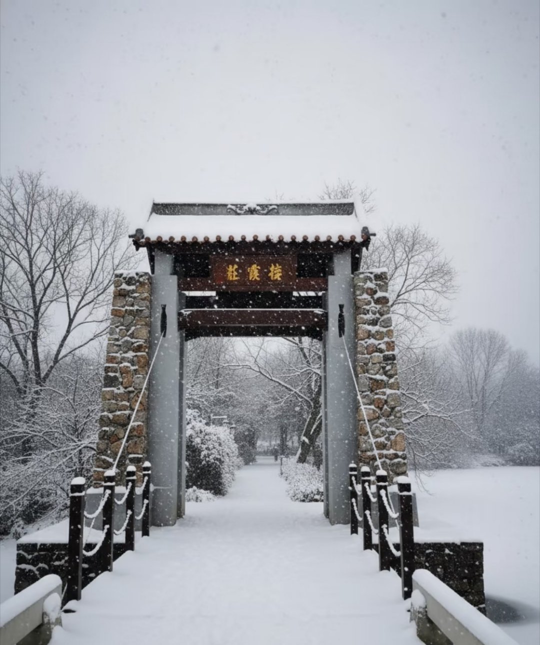 在珠海生活过好几年，一片雪花都没见过。已经是广东很南部的地方了，雪在这里很罕见，