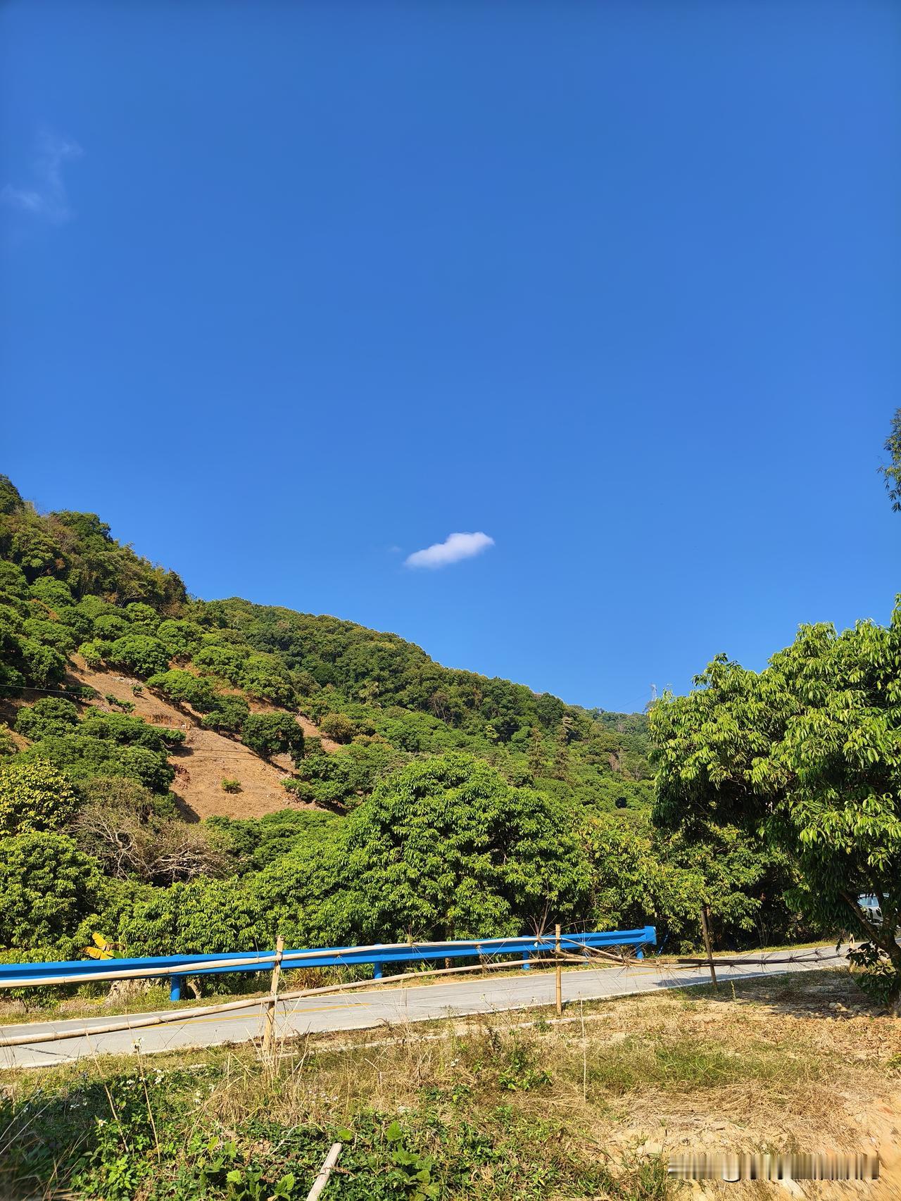 深山老林你不在，荒郊野岭我最爱。终于迎来了归途，快乐与劳累并存。