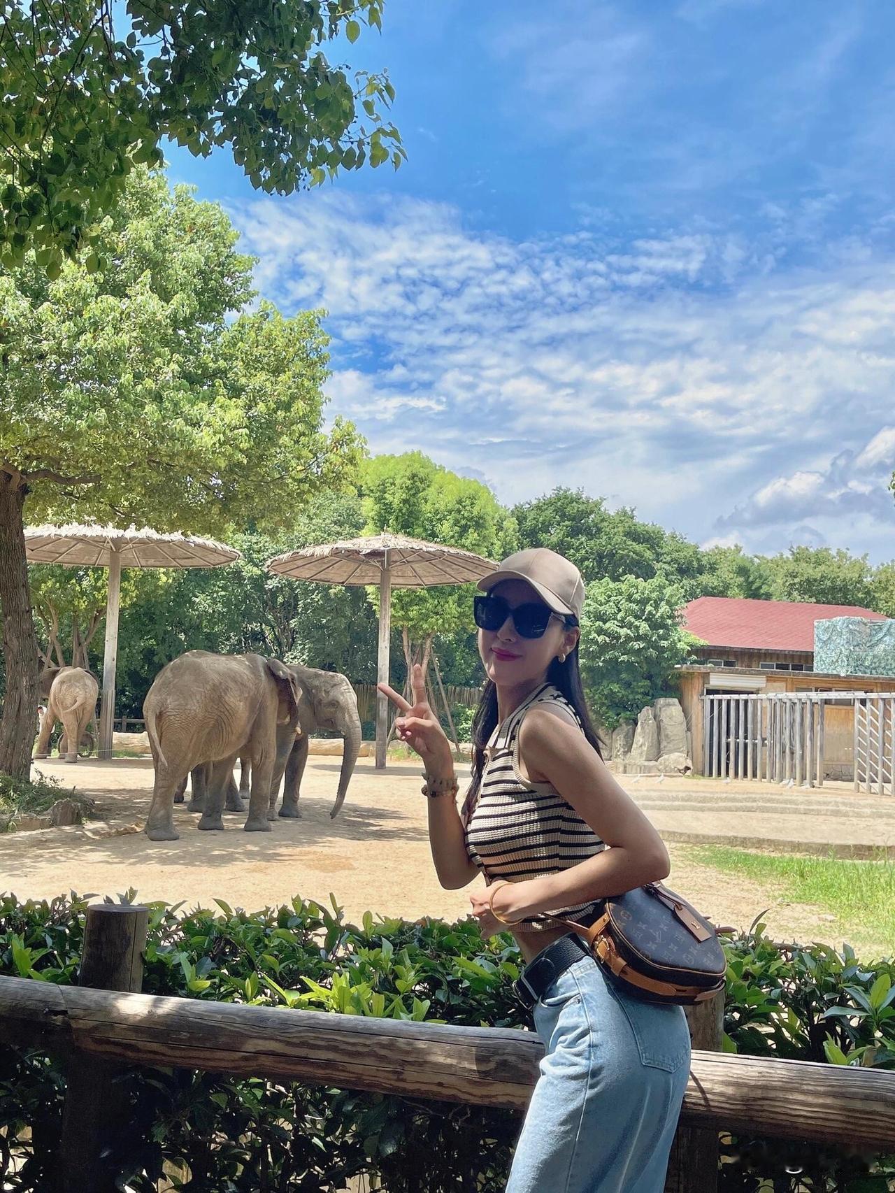 江浙沪游玩🎪常州野生动物园我来啦！！！一到冬天就想拥抱大自然趁着周末全家总动