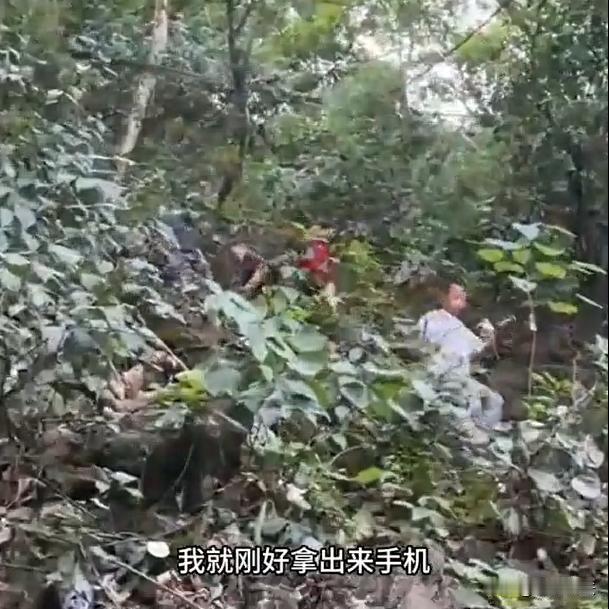 广西，一名小伙子到桂林旅游，在爬山的时候，刚准备拿出手机拍摄风景。抬头的瞬间，就