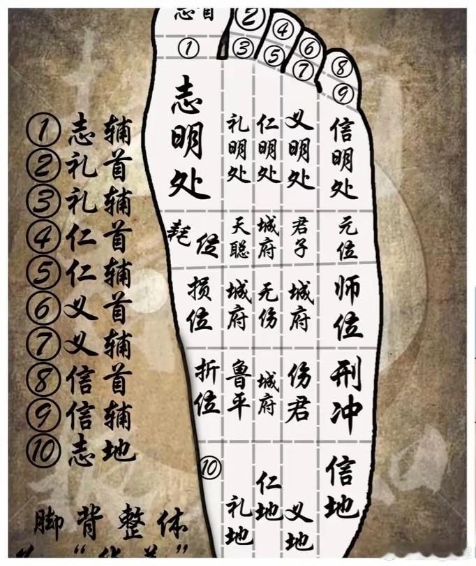 脚相知识《麻衣神相》：“足者，上载一身，下运百体，为足之量，为地之体象。故虽至下