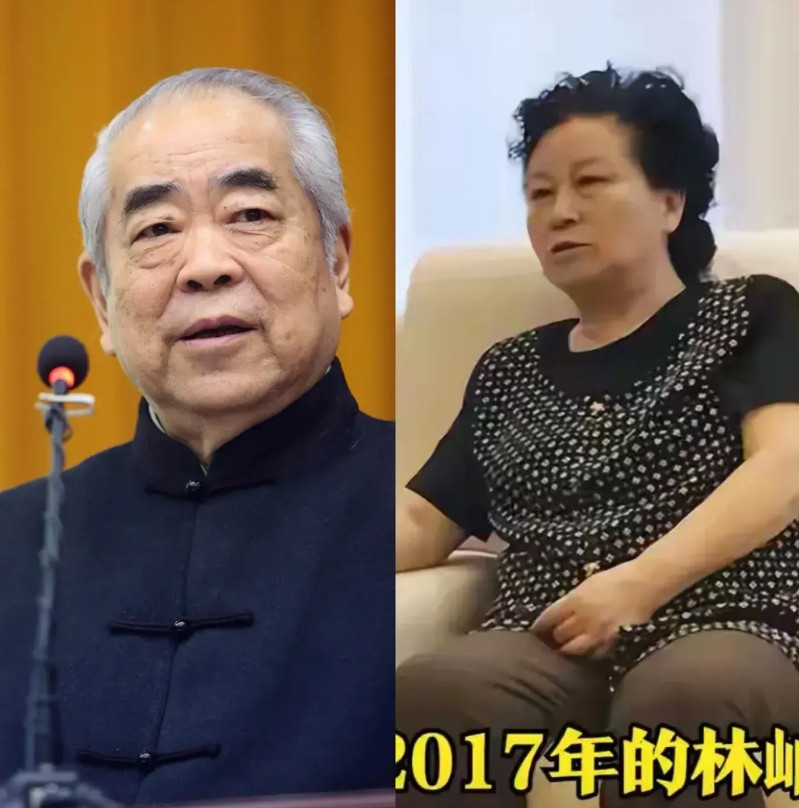 范曾的四任妻子，其中第三任“楠莉”与前夫在一起时是家庭主妇。但是很有手段，与范曾