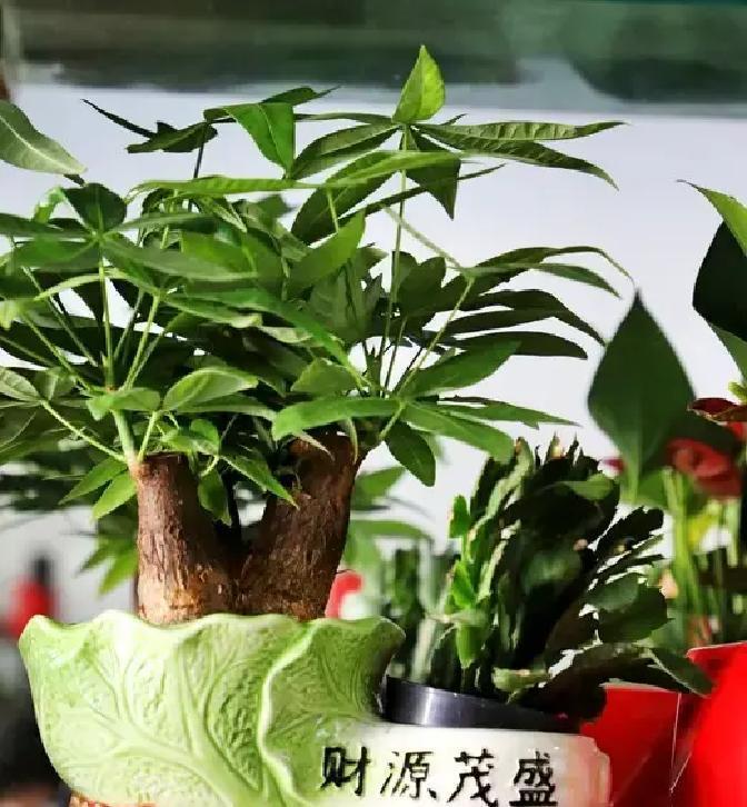 凌晨3点，美团大楼烟雾缭绕，一个985文科高材生竟然把护火点烟练成转正绝活，这荒