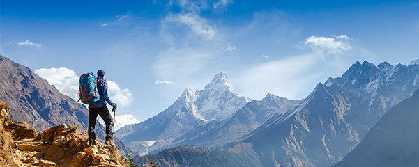 张坤、葛兰、刘彦春、刘格菘等顶流, 大面积塌房!