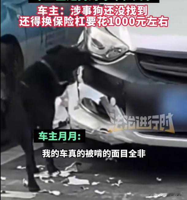 湖南，一位大哥清晨起床跑步，锻炼好了往家走的时候，路过自家的车库。这个时候，突然