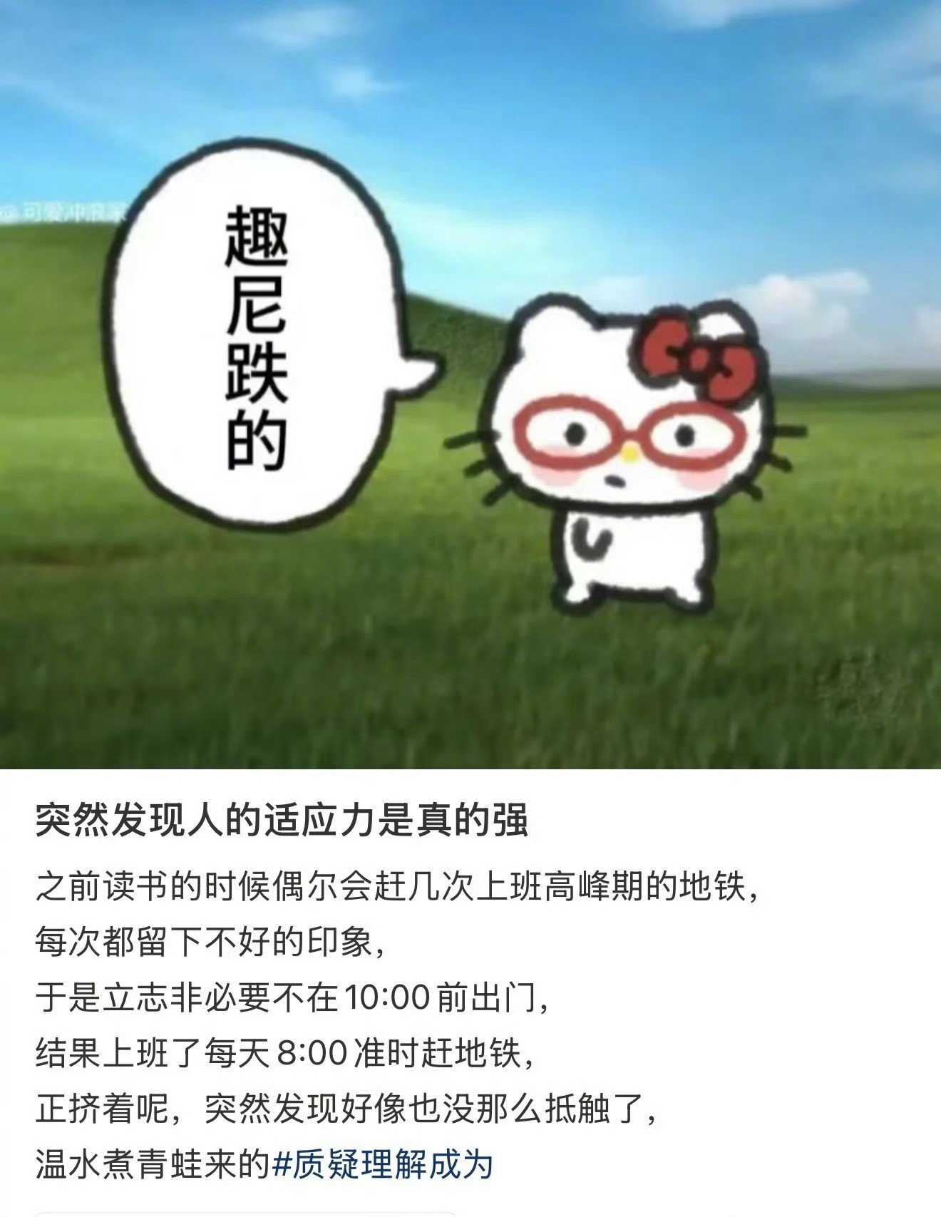 突然发现人的适应能力是真的强因为没招了