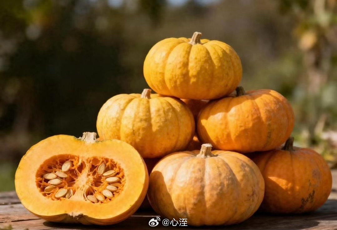 南瓜的种植方法1.选地播种：选择阳光充足、排水好的地块。春季土壤升温后（一般