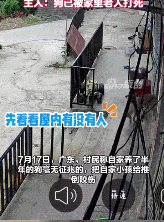 广东，一网友发视频称，自家养了半年的狗，平日里对家中大人百依百顺，但这天它竟毫无