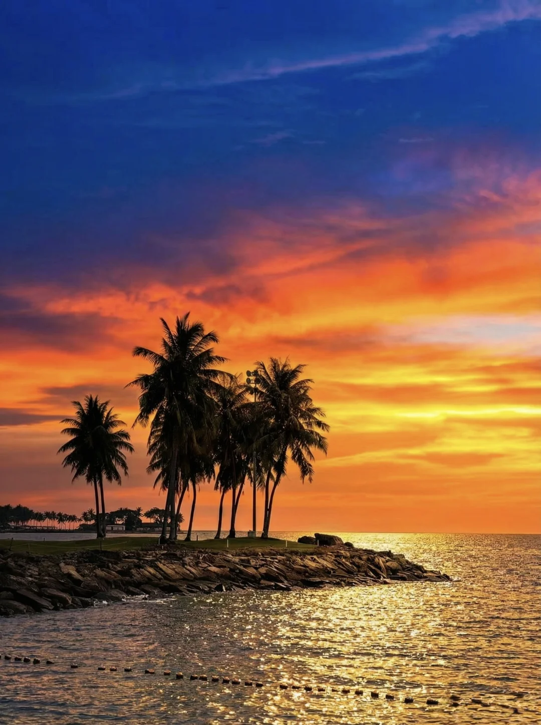 最近的马来西亚，真是封神了！