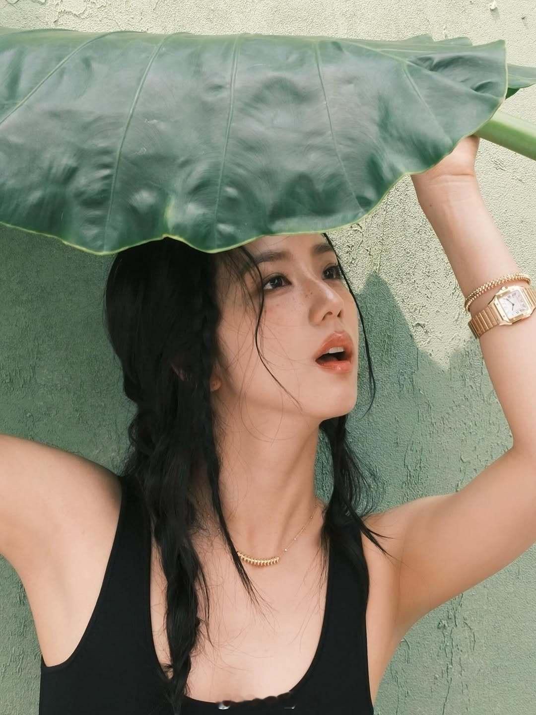 好多卡地亚jisoo​​​